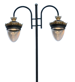 D-SLS-24-CAND